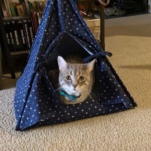 Meet your Posher, Katelynn